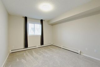 Photo 10: 325 56 Carroll Crescent: Red Deer Apartment for sale : MLS®# A2004382
