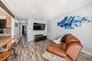 Photo 13: 2711 46 Street SE in Calgary: Dover Semi Detached (Half Duplex) for sale : MLS®# A2123114