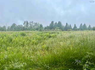 Photo 1: Lot 725 Limerock Road in Lovat: 108-Rural Pictou County Vacant Land for sale (Northern Region)  : MLS®# 202313689