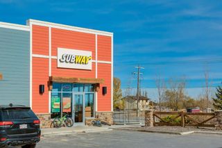 Photo 42: 263 Silverado Plains Close SW in Calgary: Silverado Detached for sale : MLS®# A2123792