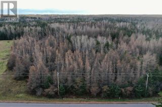 Photo 3: Cape Bear Road in Murray Harbour: Vacant Land for sale : MLS®# 202218197