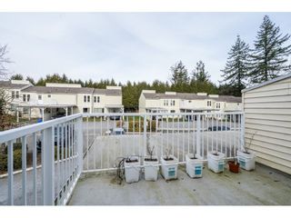 Photo 19: 22 3075 TRETHEWEY Street in Abbotsford: Abbotsford West Townhouse for sale in "SILKWOOD ESTATES" : MLS®# R2536330