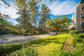 Photo 16: 412 9867 MANCHESTER Drive in Burnaby: Cariboo Condo for sale in "BARCLAY WOODS" (Burnaby North)  : MLS®# R2829197