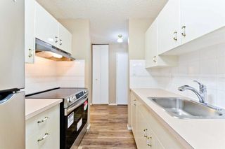 Photo 12: 417 816 89 Avenue SW in Calgary: Haysboro Apartment for sale : MLS®# A2104765
