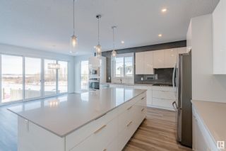 Photo 16: 1247 PEREGRINE Terrace in Edmonton: Zone 59 House for sale : MLS®# E4322032