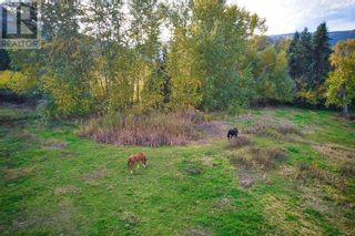 Photo 40: 1341 20 Avenue SW in Salmon Arm: Vacant Land for sale : MLS®# 10286879