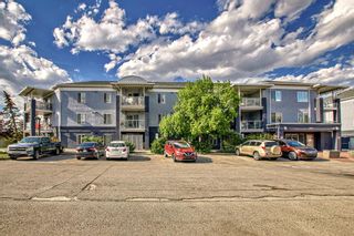 Photo 9: 1215 2280 68 Street NE in Calgary: Monterey Park Apartment for sale : MLS®# A2054328