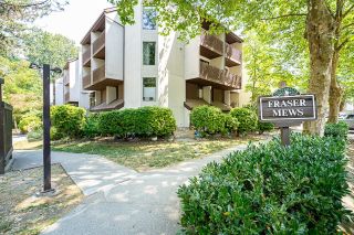 Photo 1: 21 385 GINGER Drive in New Westminster: Fraserview NW Condo for sale in "FRASER MEWS" : MLS®# R2818469