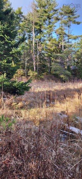 Photo 9: Lot 16 Wells Road in Martins River: 405-Lunenburg County Vacant Land for sale (South Shore)  : MLS®# 202324926