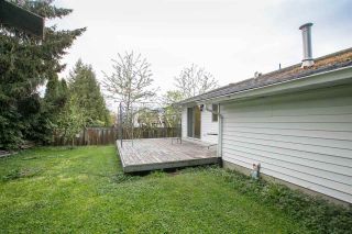 Photo 16: 9401 213 Street in Langley: Walnut Grove House for sale : MLS®# R2451993