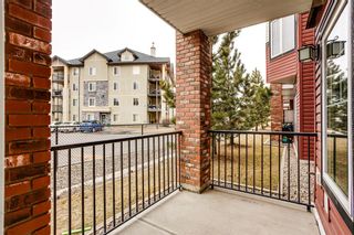 Photo 18: 105 70 Royal Oak Plaza NW in Calgary: Royal Oak Apartment for sale : MLS®# A1185022