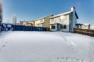 Photo 25: 229 PANAMOUNT Court NW in Calgary: Panorama Hills Detached for sale : MLS®# C4279977