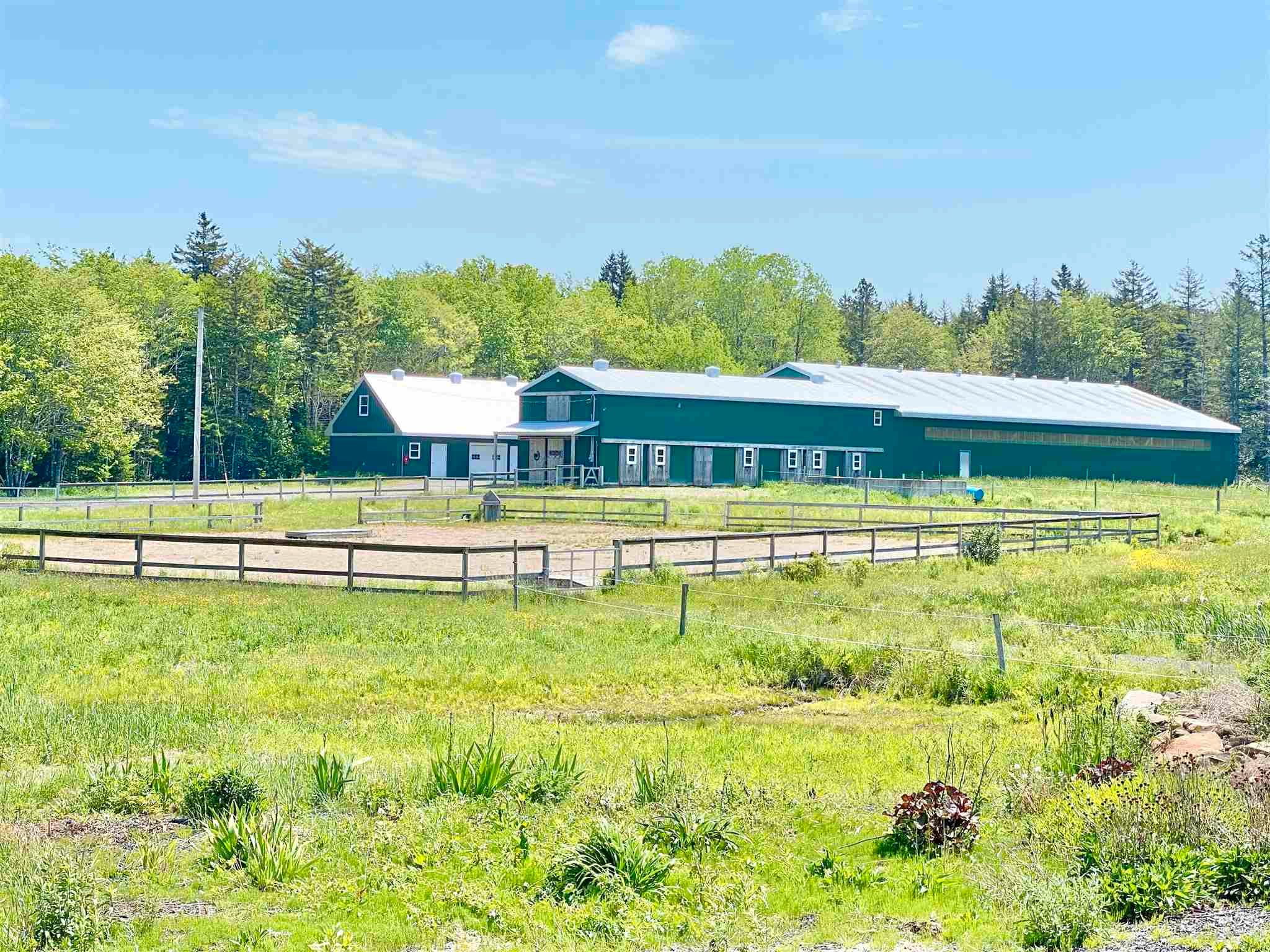 Main Photo: 12018 Highway 217 in Sea Brook: 401-Digby County Farm for sale (Annapolis Valley)  : MLS®# 202108241