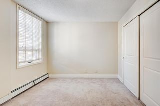 Photo 25: 403 733 14 Avenue SW in Calgary: Beltline Apartment for sale : MLS®# A2030140