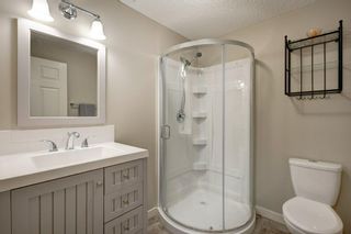 Photo 23: 118 Cranberry Close SE in Calgary: Cranston Detached for sale : MLS®# A2050518