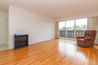 Photo 2: 210 964 Heywood Ave in Victoria: Vi Fairfield West Condo for sale : MLS®# 861101