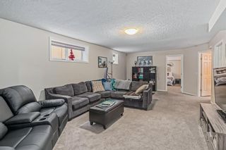 Photo 22: 87 Evansmeade Crescent NW in Calgary: Evanston Detached for sale : MLS®# A2013812