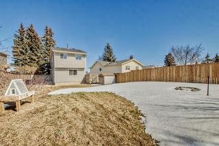 Photo 16: 155 Castlebrook Road NE in Calgary: Castleridge Detached for sale : MLS®# A2035809