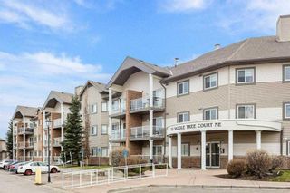 Photo 1: 204 92 Saddletree Court NE in Calgary: Saddle Ridge Apartment for sale : MLS®# A2126559