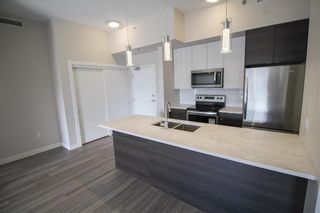 Photo 27: 111 70 Philip Lee Drive in Winnipeg: Crocus Meadows Condominium for sale (3K)  : MLS®# 202213240