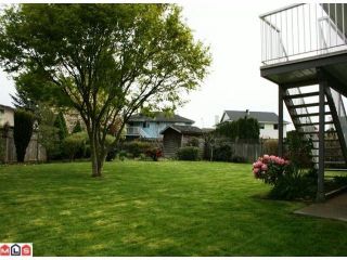 Photo 9: 31840 JERVIS Court in Abbotsford: Abbotsford West House for sale : MLS®# F1010654