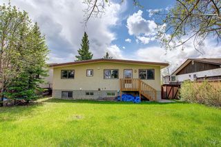 Photo 44: 572 Dalmeny Hill NW in Calgary: Dalhousie Detached for sale : MLS®# A1232933