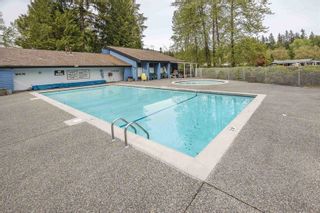 Photo 15: 1903 PARKLAND DRIVE in Coquitlam: River Springs House for sale : MLS®# R2747868