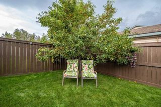 Photo 39: 27 Thorndale Close SE: Airdrie Detached for sale : MLS®# A2072344