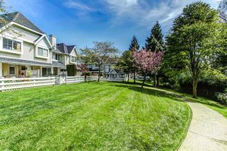 Photo 20: 23 23560 119 Avenue in Maple Ridge: Cottonwood MR Townhouse for sale in "HOLLYHOCK" : MLS®# R2162946
