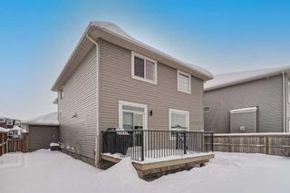 Photo 41: 161 Rainbow Falls Heath: Chestermere Detached for sale : MLS®# A2125718