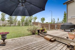 Photo 22: 206 New Brighton Mews SE in Calgary: New Brighton Detached for sale : MLS®# A1118234