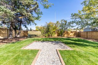 Photo 9: 448 Dalmeny Hill NW in Calgary: Dalhousie Detached for sale : MLS®# A2003299