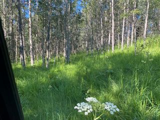 Photo 7: Lot 1 South of Jamieson Road in Rural Bighorn No. 8, M.D. of: Rural Bighorn M.D. Residential Land for sale : MLS®# A1243656
