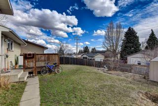 Photo 32: 5015 Whitehorn Drive NE in Calgary: Whitehorn Detached for sale : MLS®# A2131299
