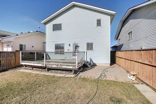 Photo 36: 351 Applewood Drive SE in Calgary: Applewood Park Detached for sale : MLS®# A1094539