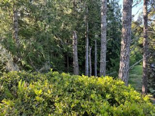 Photo 7: 7355 Thornton Hts in Sooke: Sk Silver Spray Land for sale : MLS®# 907447