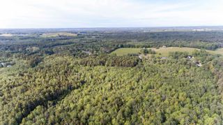 Photo 3: Lower Branch Lots in Lower Branch: 405-Lunenburg County Vacant Land for sale (South Shore)  : MLS®# 202115974