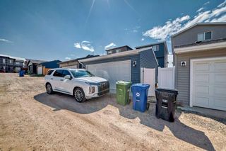 Photo 48: 24 HOWSE Drive NW in Calgary: Livingston Detached for sale : MLS®# A2132211