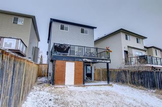 Photo 37: 262 Covemeadow Crescent NE in Calgary: Coventry Hills Detached for sale : MLS®# A1182872