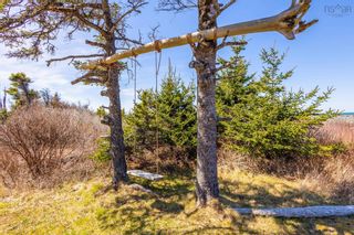 Photo 25: 25 Dargie Cove Road in Woodvale: Digby County Residential for sale (Annapolis Valley)  : MLS®# 202408663