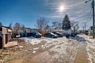 Photo 39: 1709 50 Street SE in Calgary: Forest Lawn Semi Detached (Half Duplex) for sale : MLS®# A2115014