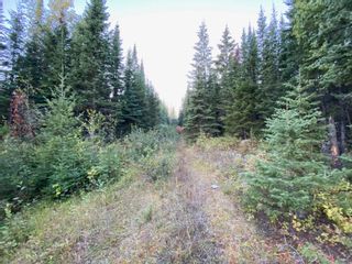 Photo 17: N1/2of DL7871 TAKLA FOREST Road in Prince George: Nechako Ridge Land for sale in "McPhee Road" (PG City North)  : MLS®# R2768067