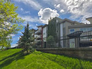 Main Photo: 423 4303 1 Street NE in Calgary: Highland Park Apartment for sale : MLS®# A2136033