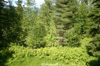 Photo 16: 4827 Goodwin Road in Eagle Bay: Vacant Land for sale : MLS®# 10116745