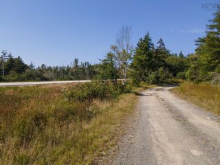 Photo 8: Lot Killam Road in Hillview: County Hwy 1 Vacant Land for sale (Yarmouth)  : MLS®# 202310691