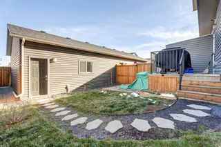 Photo 30: 41 Willow Mews: Cochrane Semi Detached (Half Duplex) for sale : MLS®# A2095148