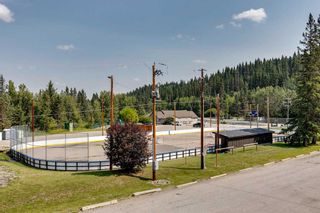Photo 34: 186007 Priddis Valley Road W: Rural Foothills County Mixed Use for sale : MLS®# A2118195