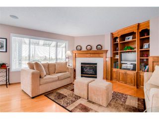 Photo 14: 167 Lakeside Greens Court: Chestermere House for sale : MLS®# C4012387