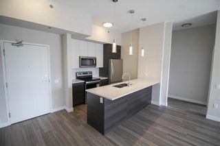 Photo 5: 105 70 Philip Lee Drive in Winnipeg: Crocus Meadows Condominium for sale (3K)  : MLS®# 202021202