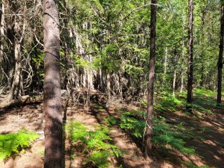 Photo 18: Lot 1 SAUNDERS ROAD in Passmore: Vacant Land for sale : MLS®# 2469922